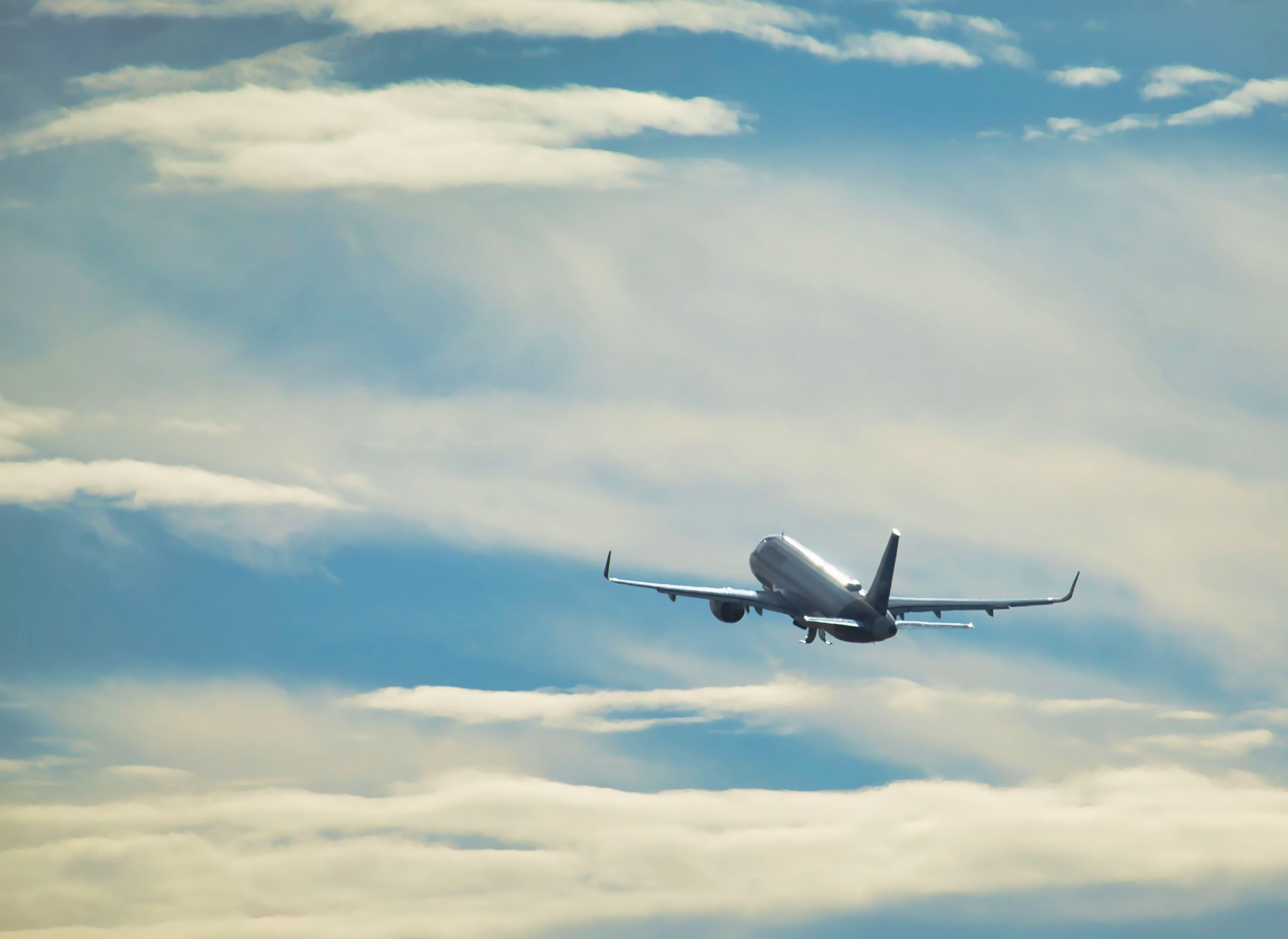 Flight (Domestic & International)