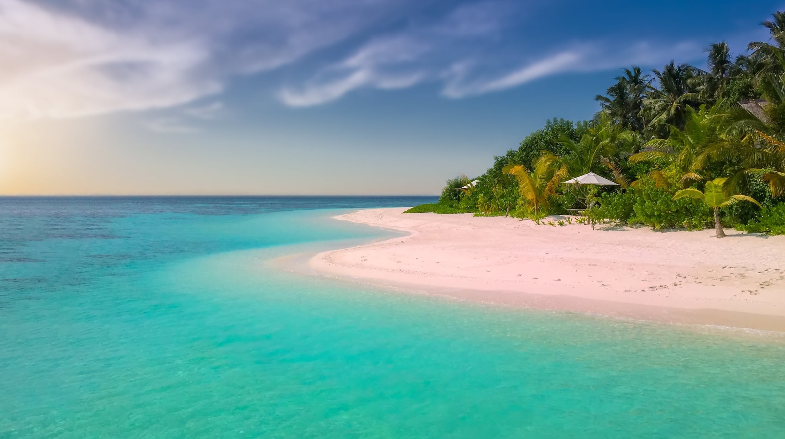Holiday Packages